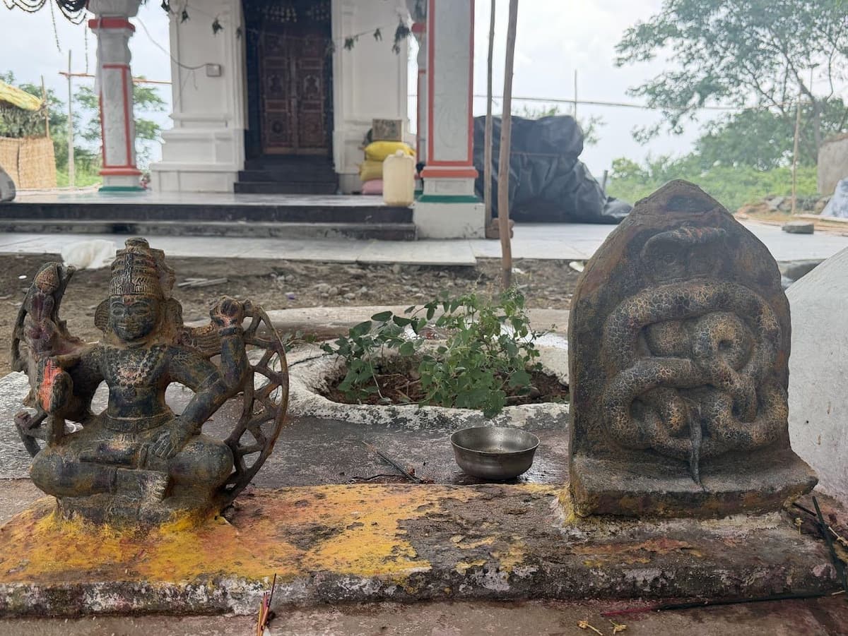 Ancient stone deity and Naga idols
