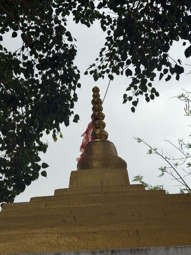 The golden shikhara